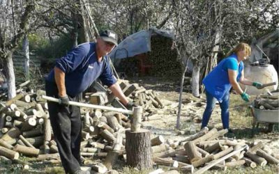 [Zaželi] Pripreme za zimu – čišćenje kuće i okućnice, cijepanje drva, sadnja stabala
